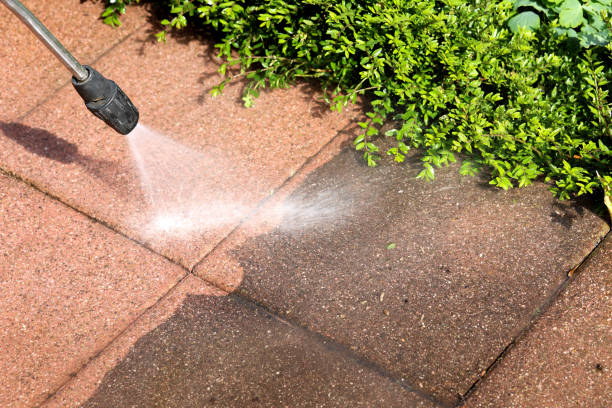 Best Roof Power Washing Services  in Craig Beach, OH